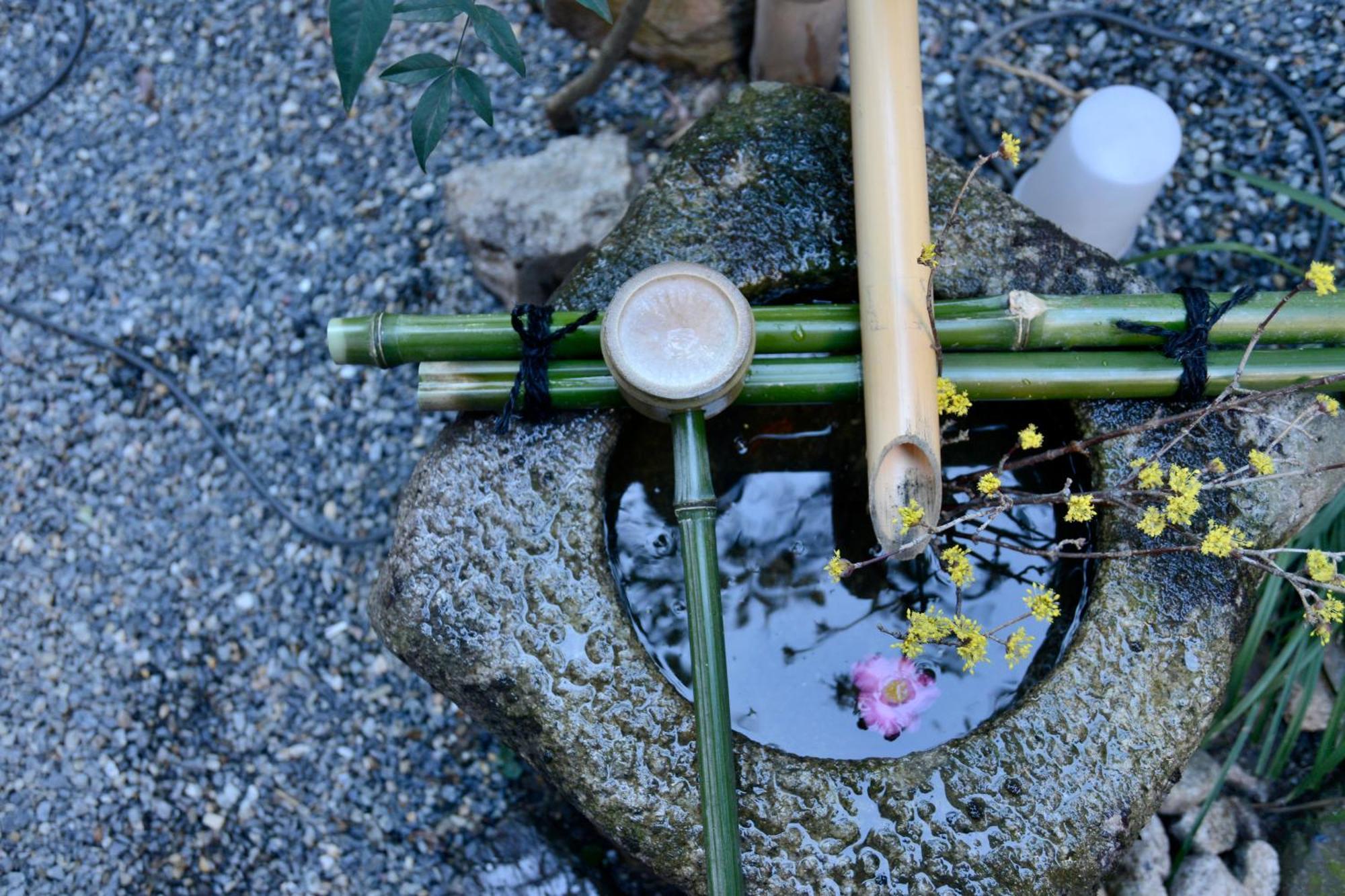 Mitsuki Kyoto — Photos 3