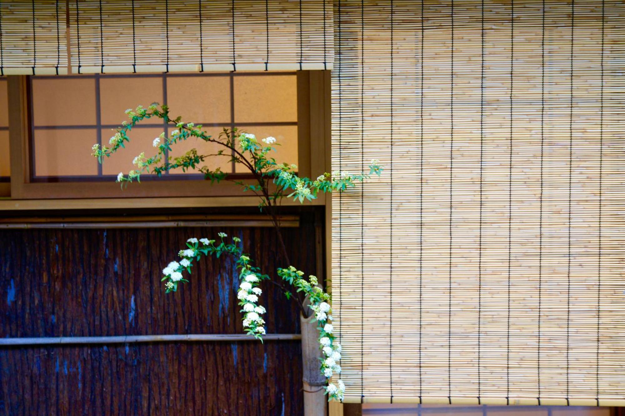 Mitsuki Kyoto, Kyoto